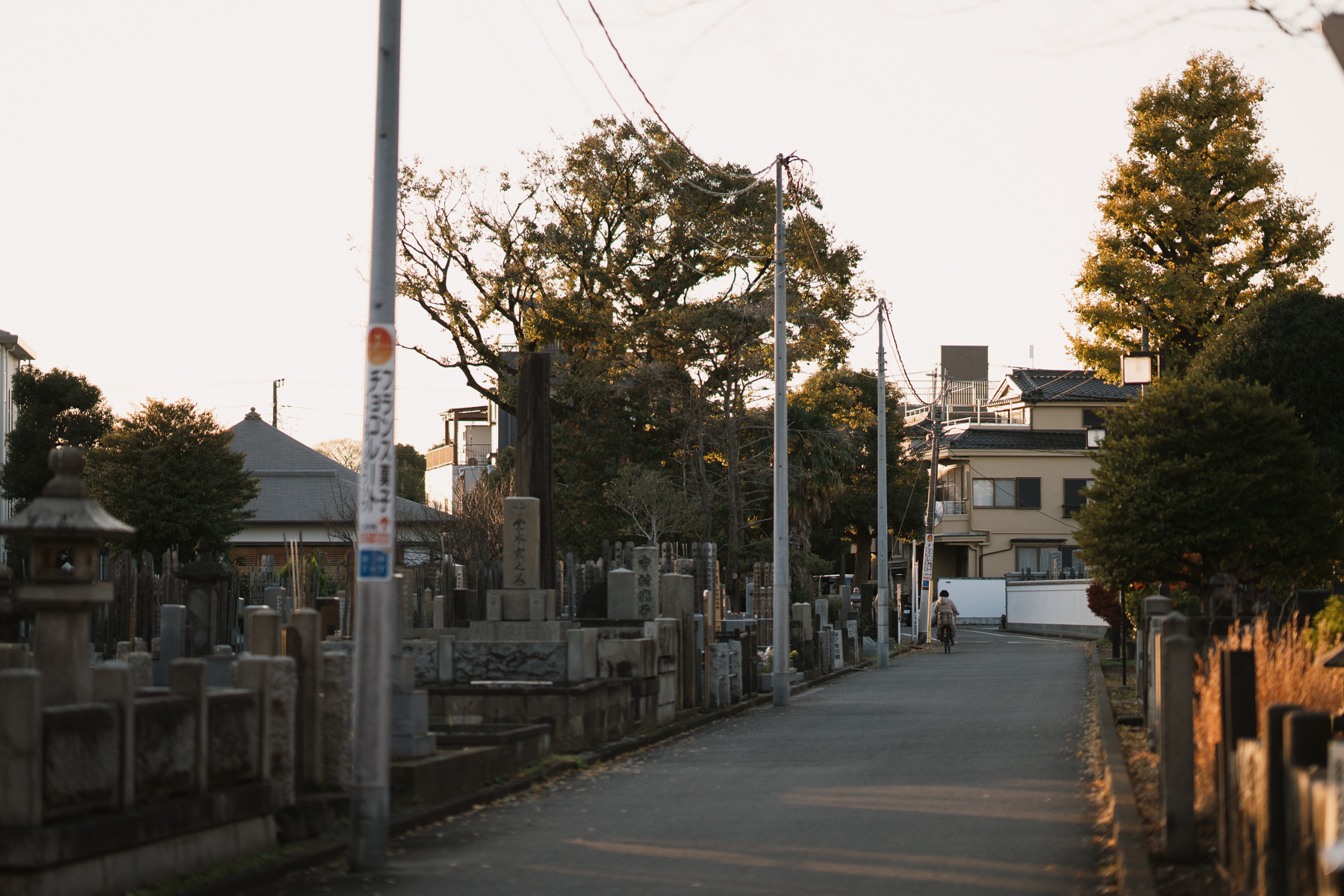 <span style="color: rgb(0, 0, 0);">Yanaka cemetery, located in a quiet area of Tokyo, is an example of a public cemetery managed by the city.</span>