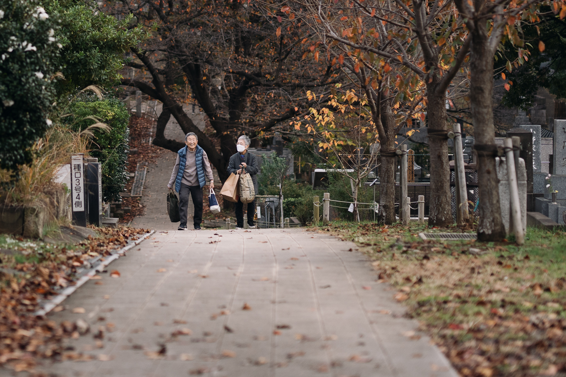 <span style="color: rgb(0, 0, 0);">Two women passing through Yanaka cemetery. This cemetery is known as a lovely place for quiet walks.</span>